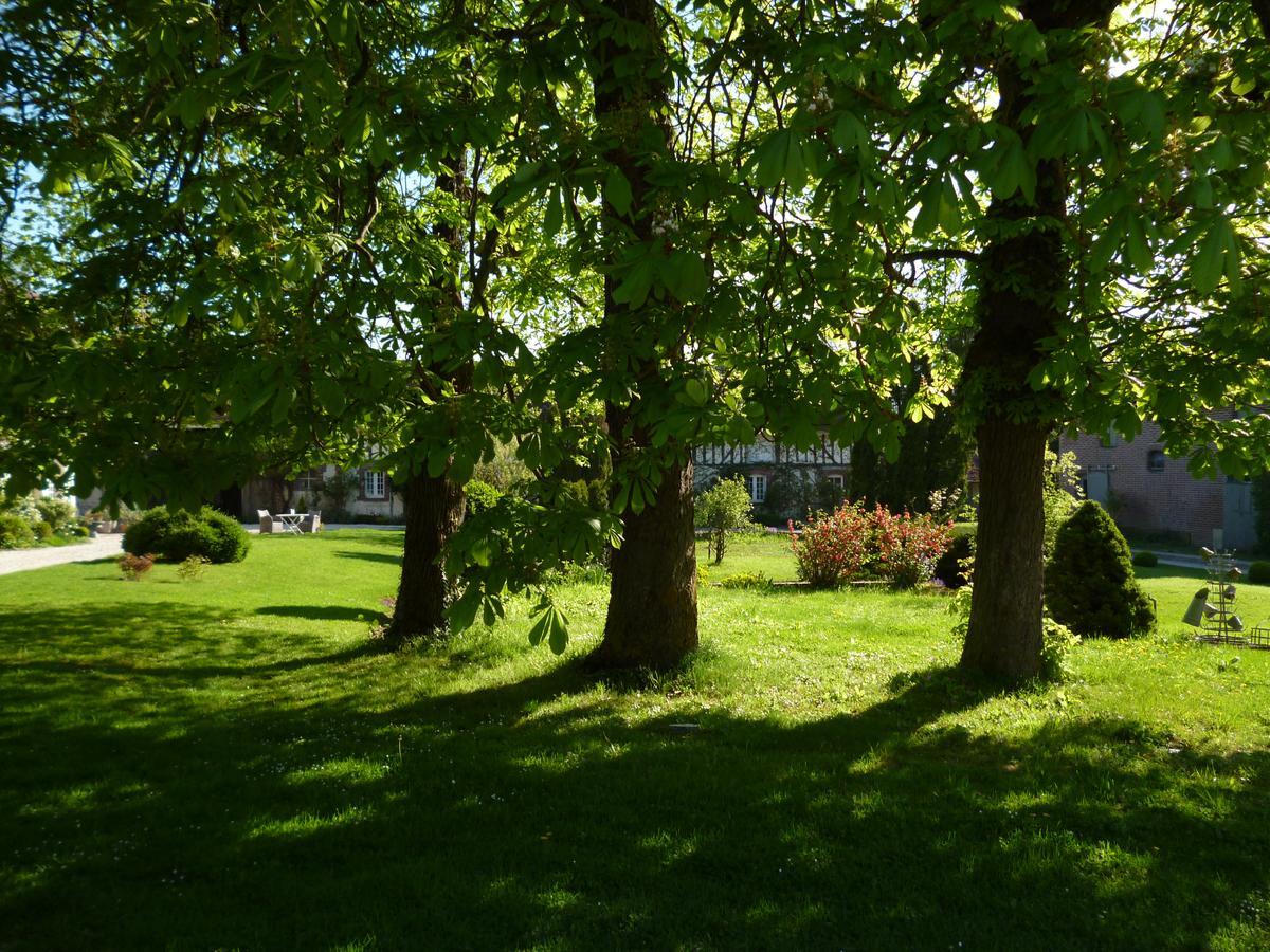 Moussey  Domaine De La Creuse B&B 외부 사진